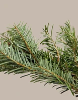 25 Ft. Fraser Fir Garland