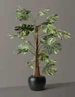 Faux Variegated Monstera Tree