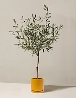 Faux Olive Tree