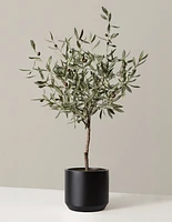 Faux Olive Tree