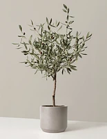 Faux Olive Tree