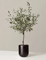 Faux Olive Tree