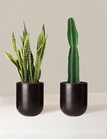 Large Set & Forget Duo