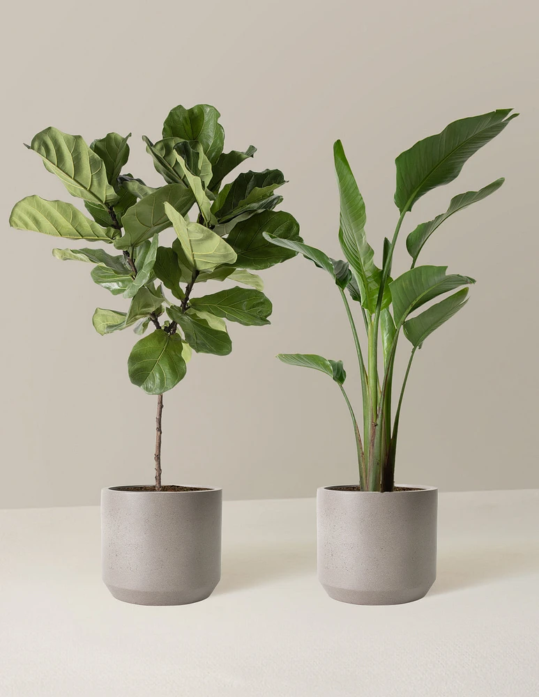 Top-Seller Duo