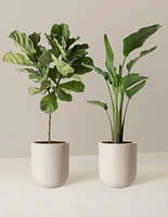 Top-Seller Duo