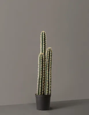 Faux Floor Cactus