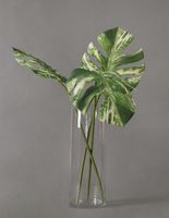 Faux Variegated Monstera Stems Trio