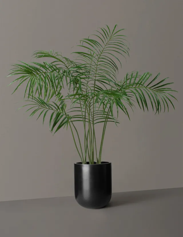 The Sill Large Pallas Planter in Grey