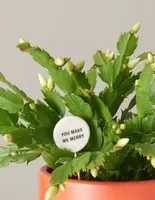 Ceramic Gift Message Pops