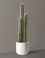 Faux Floor Cactus