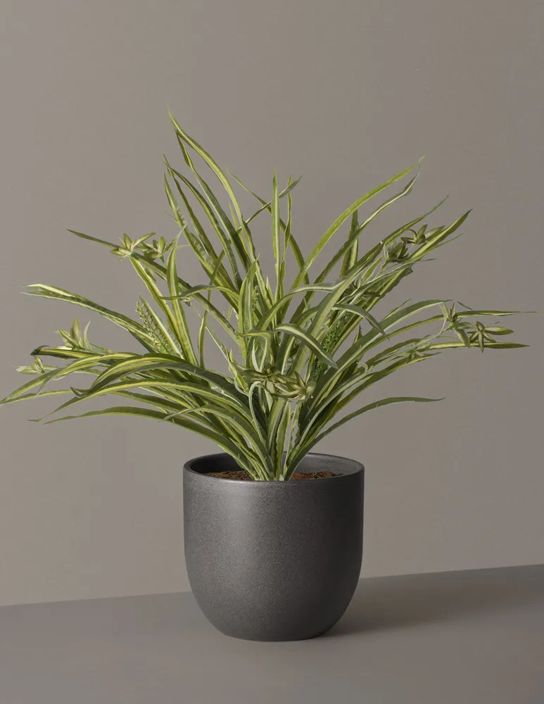 Faux Spider Plant