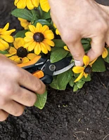 Floral Pruner