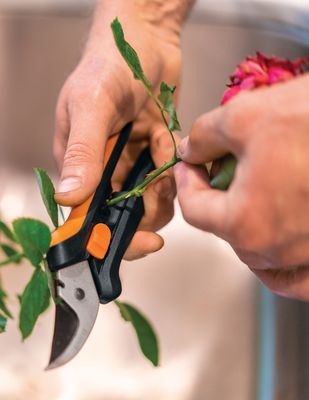 Floral Pruner