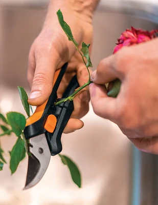 Floral Pruner