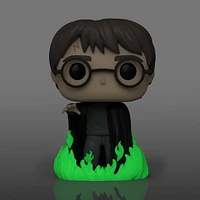FUNKO POP! HARRY POTTER with FLOO POWDER GLOW [FUNKO SHOP EXCLUSIVE] #153