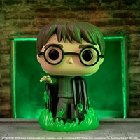 FUNKO POP! HARRY POTTER with FLOO POWDER GLOW [FUNKO SHOP EXCLUSIVE] #153