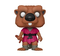 Funko POP! TMNT - Splinter *TARGET EXCLUSIVE* #73
