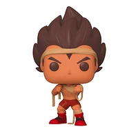 FUNKO POP! ANIMATION: DRAGON BALL Z [DBZ] - VEGETA [TRAINING] #701