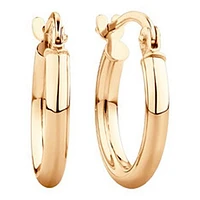 Boucles D’oreilles 10 Kt Roger Roy E000210A