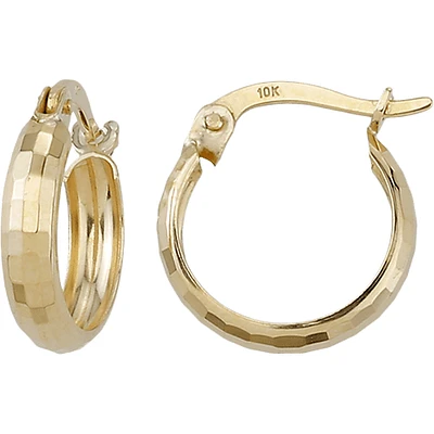 10 Kt Roger Roy Earrings E10-731148-Y