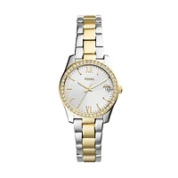 MONTRE ACIER INOXYDABLE ES4319