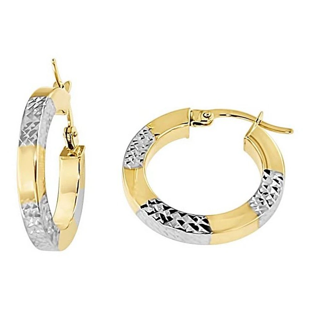 Earrings 10 Kt Roger Roy SQTE-310-2T