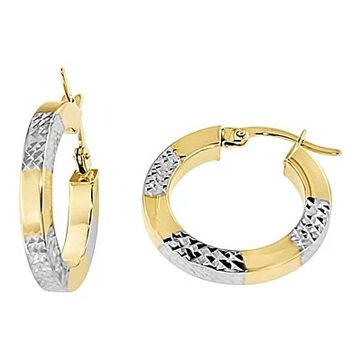 Earrings 10 Kt Roger Roy SQTE-310-2T