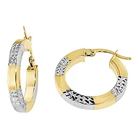 Earrings 10 Kt Roger Roy SQTE-310-2T