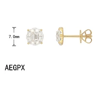 Boucles D’oreilles 14 Kt Roger Roy AEGPX