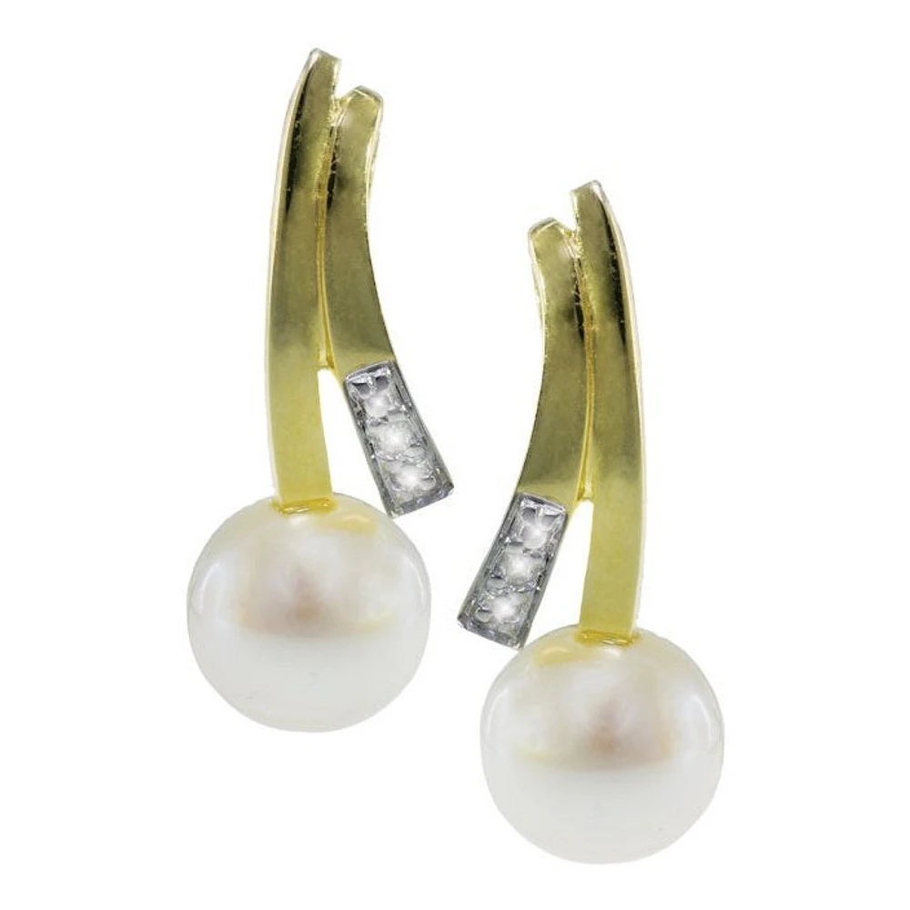 Earrings 10 Kt Roger Roy 244291