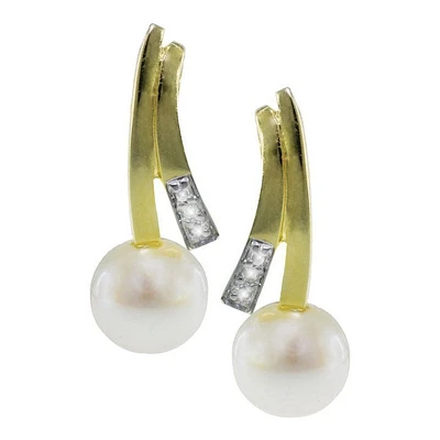 Earrings 10 Kt Roger Roy 244291