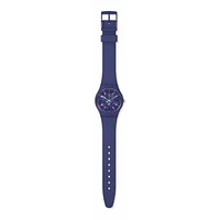 Montre Swatch Watch SO28V102