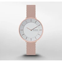 Montre Skagen Watch SKW3013