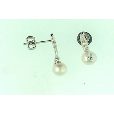 Earrings 10 Kt Roger Roy 268250