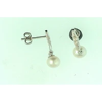 Earrings 10 Kt Roger Roy 268250