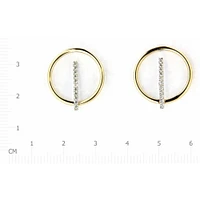 Earrings 10 Kt Roger Roy E200725YW