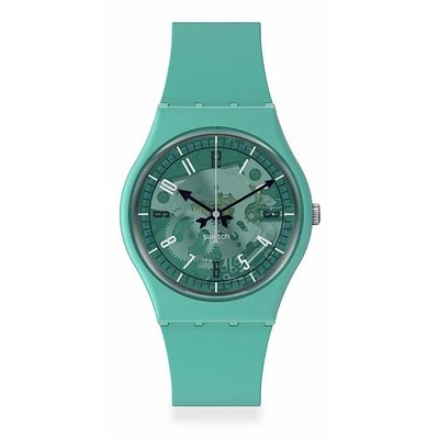 Montre Swatch Watch SO28G108