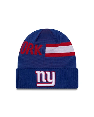 NFL Knit Hat 2024 Sideline Tech Giants