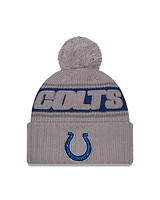 NFL Knit Hat 2024 Cold Weather Sport Knit W/ Pom Grey Colts