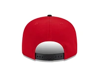 NHL Hat 950 Basic Snapback Two Tone Red Wings