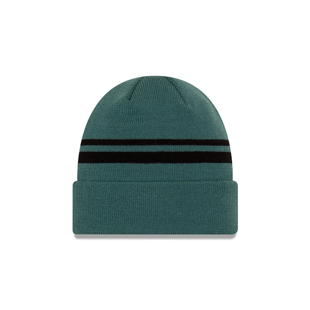 NFL Knit Hat Basic Cuff Eagles