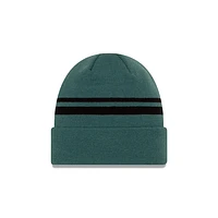 NFL Knit Hat Basic Cuff Eagles