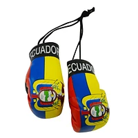 Country Boxing Gloves Set Ecuador