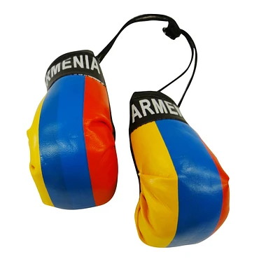 Country Boxing Gloves Set Armenia