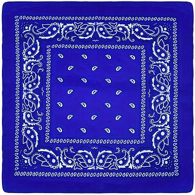 Paisley Bandana (Blue)