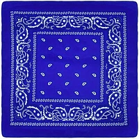 Paisley Bandana (Blue)