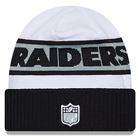 NFL Knit Hat 2023 Tech Knit Raiders