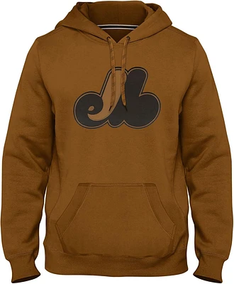 MLB Hoodie Basic Express Dune Expos