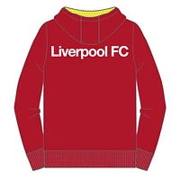 EPL Poly Hoodie Stripe Liverpool FC