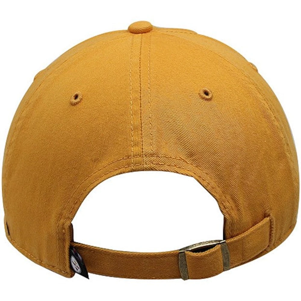 NFL Hat Clean Up Basic Steelers (Gold)